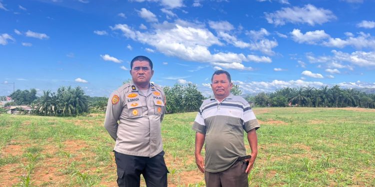 Polres Rokan Hulu Cek Tanaman Jagung di Lahan 6 Hektare, Perkuat Ketahanan Pangan Nasional di Tengah Musim Kemarau