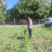 Polsek Hulu Kuantan Cek Perkembangan Tanaman Jagung, Ketahanan Pangan di Desa Sungai Alah.