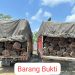 Satreskrim Polres Pelalawan Ungkap Illegal Logging di Lintas Timur Km 80, 2 Sopir Truk Kayu Mahang Tanpa Dokumen Diamankan