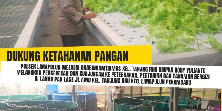 Polresta Pekanbaru Perkuat Ketahanan Pangan Melalui Monitoring Tanaman Bergizi dan Budidaya Ikan Warga