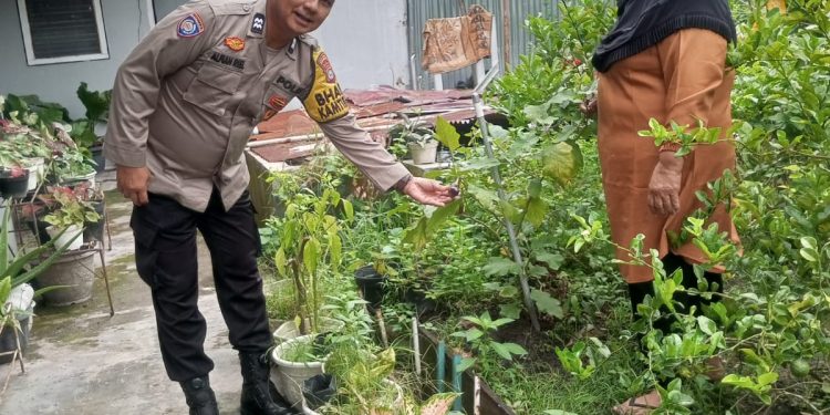 Polsek Sukajadi Sambang Kebun Terung Warga Binaan Dalam Rangka mendukung Ketahanan Pangan