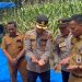 Panen Raya Jagung Pipil Tahap II Polres Kuansing, Kolaborasi Perkuat Ketahanan Pangan Nasional