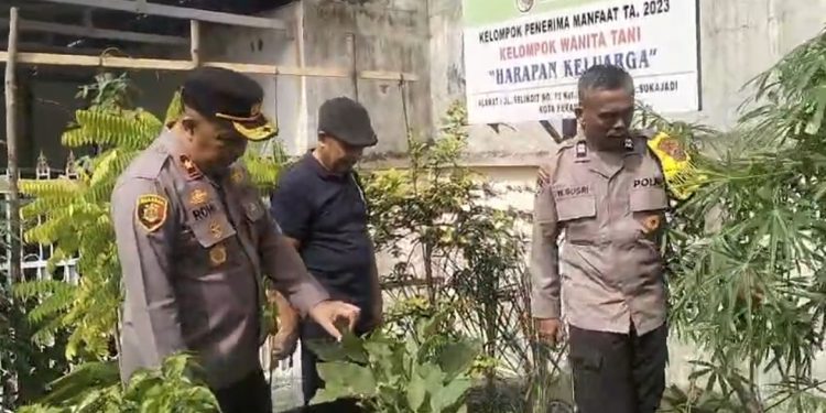 Kapolsek Sukajadi Sambang Kebun Kelompok Tani Wanita HARAPAN KELUARGA Dalam Rangka mendukung Ketahanan Pangan.