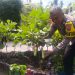 Cinta Petani Personil Polsek Sukajadi, Sambang Kebun PKK Warga Binaan Dalam Rangka mendukung Ketahanan Pangan.