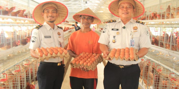Lahan Terbatas Tak Halangi Lapas Pekanbaru Produksi 800 Telur per Hari