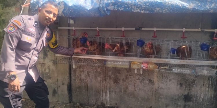 Sambang Kebun dan Ayam Petelur Warga Binaan Dalam Rangka mendukung Ketahanan Pangan