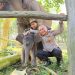 Kapolda Riau Beri Nama “Nona Seroja” untuk Anak Gajah di TNTN yang Lahir Tanpa Terdeteksi