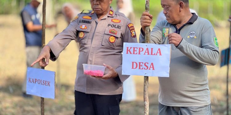 Polsek Pangean Dukung Ketahanan Pangan Melalui Penanaman Jagung Pipil di Desa Pulau Tengah