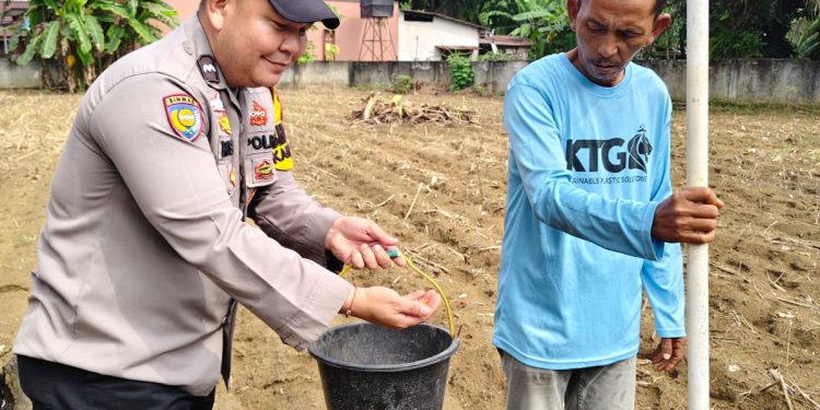 POLRI HADIR BERSAMA PETANI – PENANAMAN JAGUNG PIPIL DI DESA LUBUK SAKAI KEMBALI DILAKSANAKAN