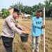 POLRI HADIR BERSAMA PETANI – PENANAMAN JAGUNG PIPIL DI DESA LUBUK SAKAI KEMBALI DILAKSANAKAN