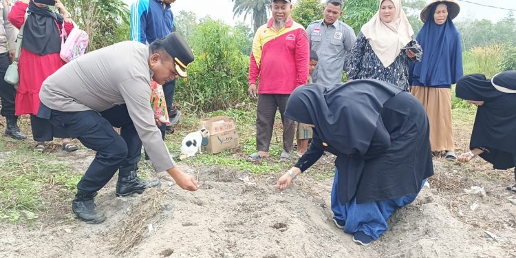 Swasembada Pangan Jagung Pipil Nasional, Polres Inhu Tanam hingga Pantau Perkembangan Tanaman