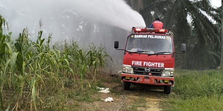 Damkar Pkl. Kuras Siram 12 Ha Jagung Pipil KUD Sialang Makmur, Polri Jaga Swasembada Pangan Saat Kemarau