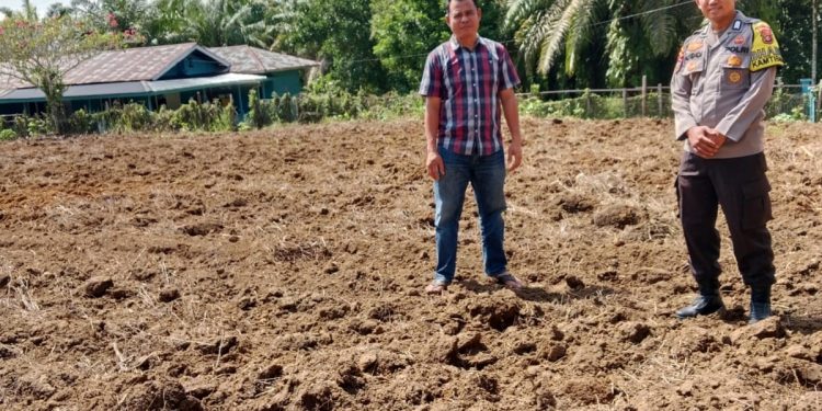 Polisi Cinta Petani, Polsek Benai Koordinasi Persiapan Penanaman Jagung Pipil di Desa Pulau Lancang