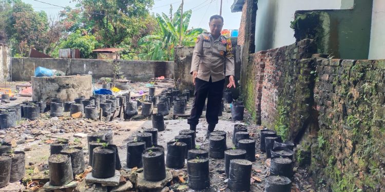 Personil Polsek Sukajadi, Sambang Lahan Budidaya Cabe Dalam Rangka Mendukung Ketahanan Pangan