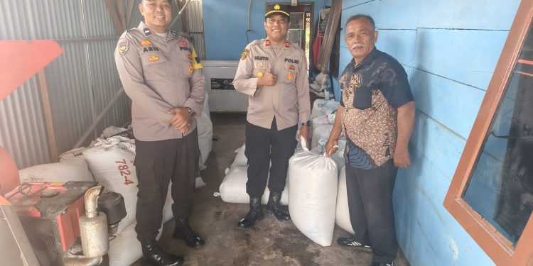 POLSEK PERHENTIAN RAJA PENGAWALI PANEN JAGUNG PIPIL – 2,19 TON TERJUAL KE BULOG DENGAN HARGA RP6.400/KG