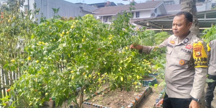 Polisi cinta Petani, Sambang Kebun Cabe Dalam Rangka Mendukung Ketahanan Pangan