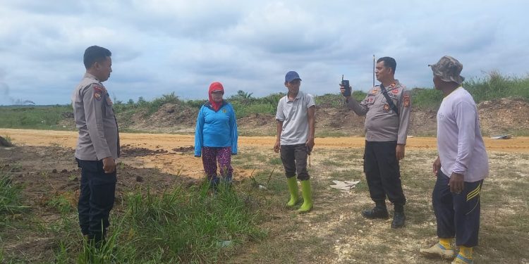Polisi Cinta Petani, Polsek Kuantan Mudik Cek Perkembangan Tanaman Jagung.