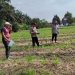 Polsek Ukui lakukan pendampingan kekebun , Pupuk Jagung Bukit Gajah untuk Ketahanan Pangan Ukui