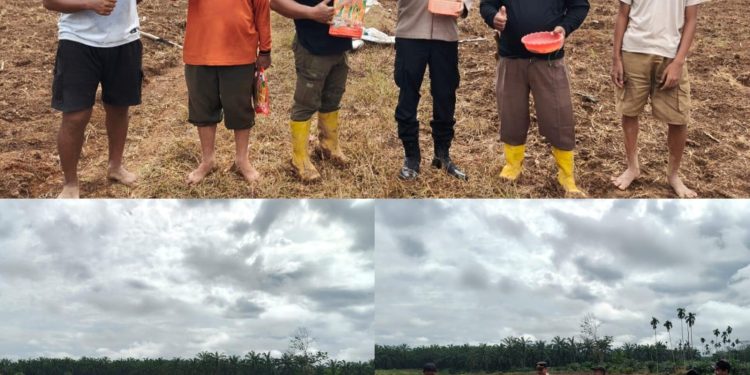 Polsek Tambusai wujudkan ketahanan Pangan dengan Kelompok Tani dalam rangka Penanaman Jagung Kuartal II di Desa Batas, Kec. Tambusai