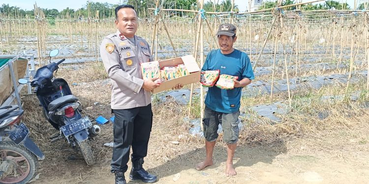 Swasembada Pangan Dengan Jagung Pipil, Ini Yang Dilakukan Polres Inhu Antisipasi Gagal Panen
