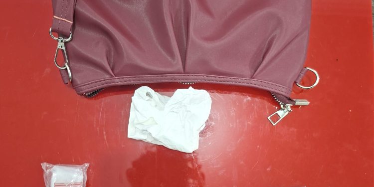 Tak Berkutik Saat Digerebek, Perempuan Diduga Pengedar Sabu Ditangkap di Tambusai Utara dengan 15 Paket Narkotika