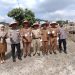 Polsek Bukit Raya Panen Raya Jagung Pipil Kuartal Ke II