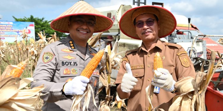 Polda Riau Terus Bergerak Dukung Swasembada Jagung, Karo SDM: Komitmen Wujudkan Ketahanan Pangan dalam Semangat Kolaborasi