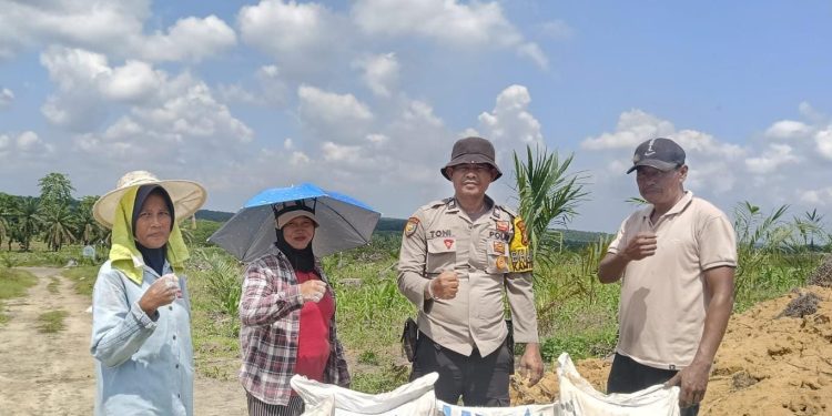 PENYERAHAN PUPUK UREA,TSP 36 DAN PHONSKA KEPADA KELOMPOK TANI RUKUN SENTOSA DALAM MENSUKSESKAN PROGRAM KETAHANAN PANGAN JAGUNG PIPIL SELUAS 16 HA DESA SUKA MAJU KEC.SINGINGI HILIR.
