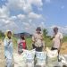 PENYERAHAN PUPUK UREA,TSP 36 DAN PHONSKA KEPADA KELOMPOK TANI RUKUN SENTOSA DALAM MENSUKSESKAN PROGRAM KETAHANAN PANGAN JAGUNG PIPIL SELUAS 16 HA DESA SUKA MAJU KEC.SINGINGI HILIR.