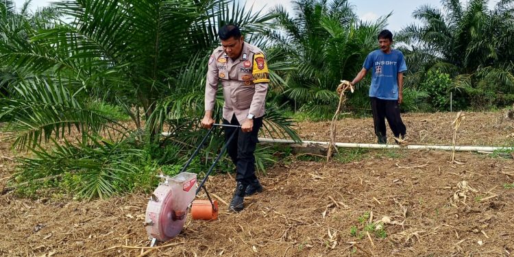 Polsek Kuantan Mudik Dukung Swasembada Pangan 2026, Laksanakan Penanaman Jagung Pipil di Desa Lubuk Ramo
