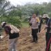Polsek Benai Dukung Ketahanan Pangan, Laksanakan Penanaman Benih Jagung Pipil di Desa Geringging Baru