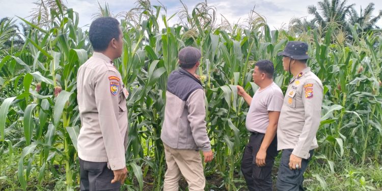 Polsek Pkl Kuras Kawal Lumbung Pangan KUD Sialang Makmur Perkuat Ketahanan Pangan