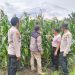 Polsek Pkl Kuras Kawal Lumbung Pangan KUD Sialang Makmur Perkuat Ketahanan Pangan