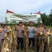 Panen Pertama Ketahanan Pangan Polsek Bandar Sei Kijang Dampingi Jagung Pipil PT. CDSL