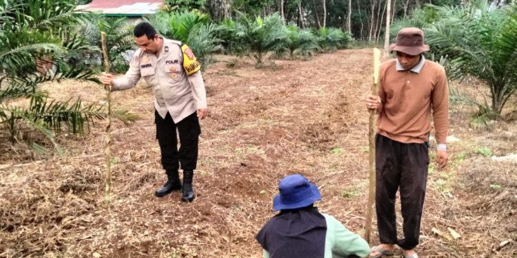 Polres Kuansing Dukung Swasembada Pangan, Penanaman Benih Jagung Pipil Digelar di Desa Munsalo