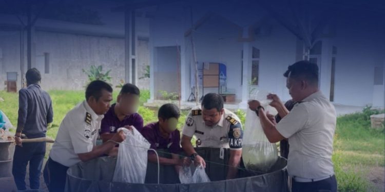 Lapas Narkotika Kelas IIB Rumbai Tebar 2.000 Benih Lele, Wujudkan Pembinaan Kemandirian dan Dukung Program Ketahanan Pangan