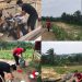 LPKA Kelas II Pekanbaru Melaksanakan Kegiatan Perawatan Kebun Agro PAS Serta Pemeliharaan Ternak Ayam Dalam Rangka Mendukung Program Ketahanan Pangan.