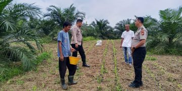 Polsek Kuantan Mudik Lakukan Pengecekan Tanaman Jagung Pipil, Dukung Program Swasembada Pangan Nasional 2026