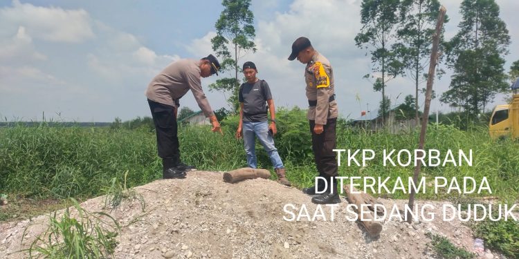 Karyawan Subkontraktor PT Madukoro Lestari Estate Tasik Tewas Diterkam Harimau Sumatera di Sungai Ara