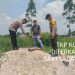 Karyawan Subkontraktor PT Madukoro Lestari Estate Tasik Tewas Diterkam Harimau Sumatera di Sungai Ara
