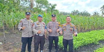 Kapolsek Kampar Kiri Hilir Tinjau Program Pekarangan Pangan Bergizi di Desa Simpang Dua untuk Dukung Ketahanan Pangan
