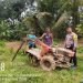 Polsek Kuantan Mudik Cek Kesiapan Lahan Jagung di Desa Pulau Rumput, Dukung Program Swasembada Pangan 2026