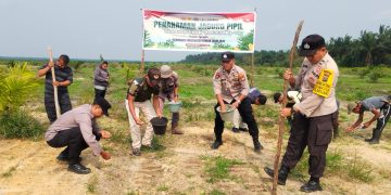 Polsek Bandar Sei Kijang Dukung Ketahanan Pangan, Tanam Jagung Pipil Tahap II di Lahan PT. CDS Seluas 1 Hektar
