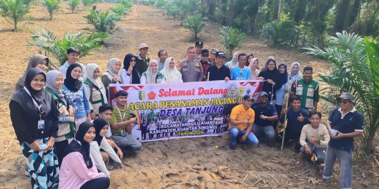 Perkuat Ketahanan Pangan, Polres Kuansing Bersama Masyarakat Tanam Jagung Pipil Dukung Asta Cita Presiden