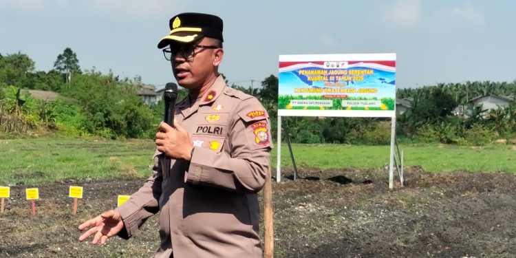 Polsek tualang gandeng PT. AIP Dukung Ketahanan pangan tanami 2Ha jagung pipil