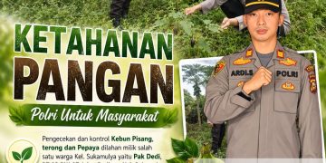 Dukung Ketahanan Pangan Nasional, Polsek Limapuluh Polresta Pekanbaru Monitoring Kebun Produktif Warga di Sukamulya