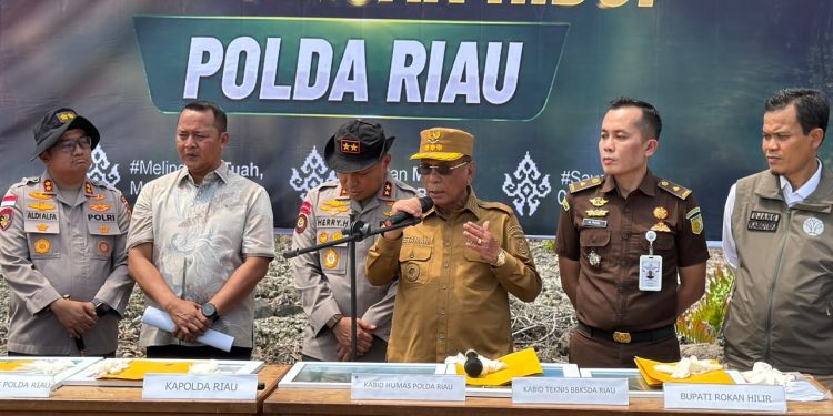 Bupati Rohil Apresiasi Polda Riau Ungkap Perusakan Mangrove, Imbau Masyarakat Tak Lagi Merusak Hutan