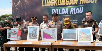 Geram Lihat Mangrove Dirusak, Kapolda Riau: Ini Benteng Masyarakat Pesisir, Tempat Satwa Berkembang Biak!
