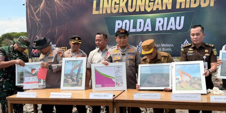 Geram Lihat Mangrove Dirusak, Kapolda Riau: Ini Benteng Masyarakat Pesisir, Tempat Satwa Berkembang Biak!