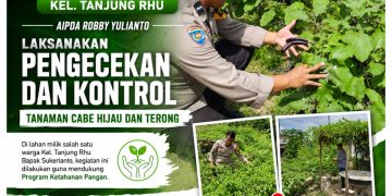 Polsek Limapuluh Perkuat Ketahanan Pangan, Monitoring Tanaman Cabai Hijau dan Terong Bersama Warga Tanjung Rhu